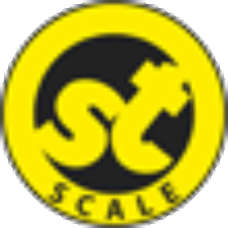 ST scale